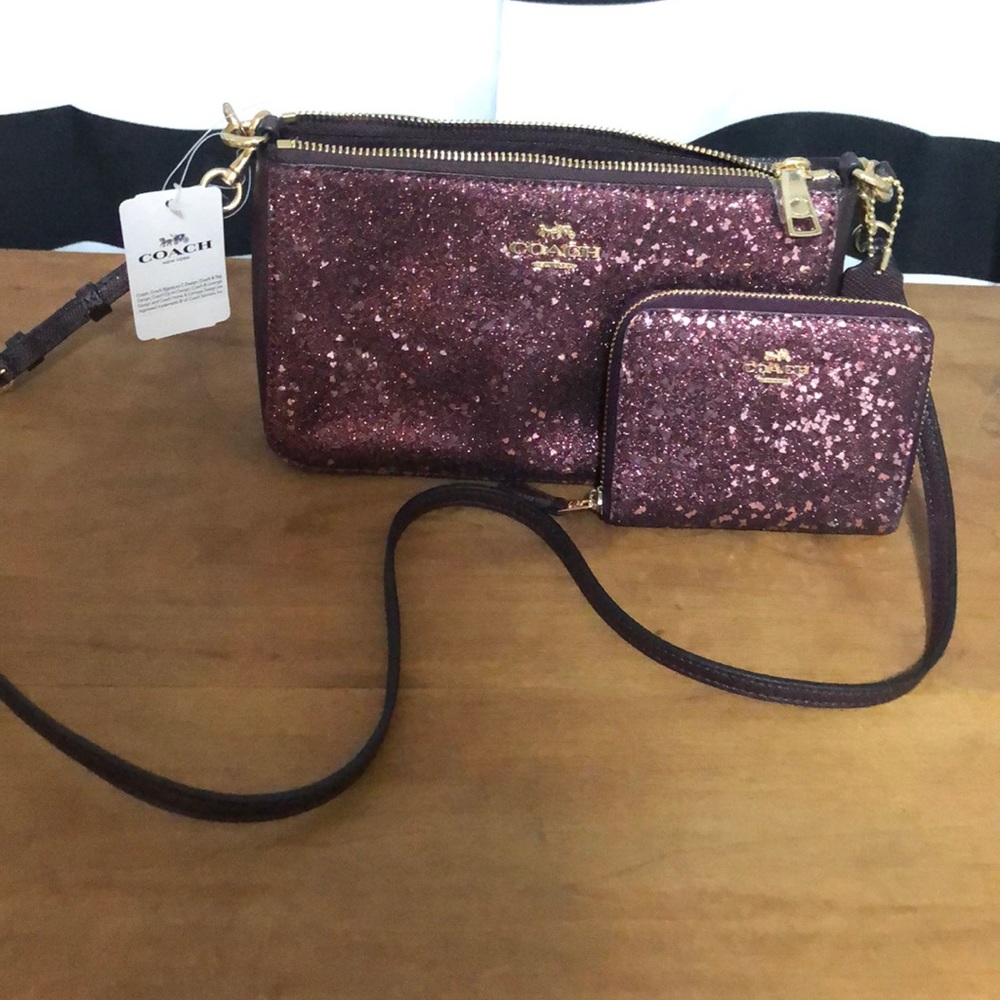 Coach Purse and Wallet Set